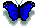 BUTFLYER.GIF (1373 bytes)