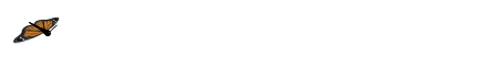 Flyx.gif (52764 bytes)